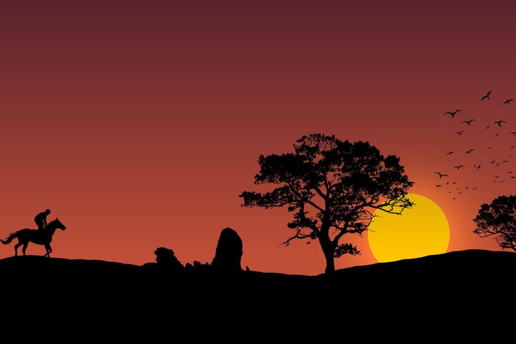 sunset, silhouette, landscape-7969416.jpg